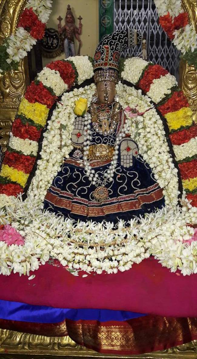 thiruvallur-navarathri-utsavam-day-5-2016005