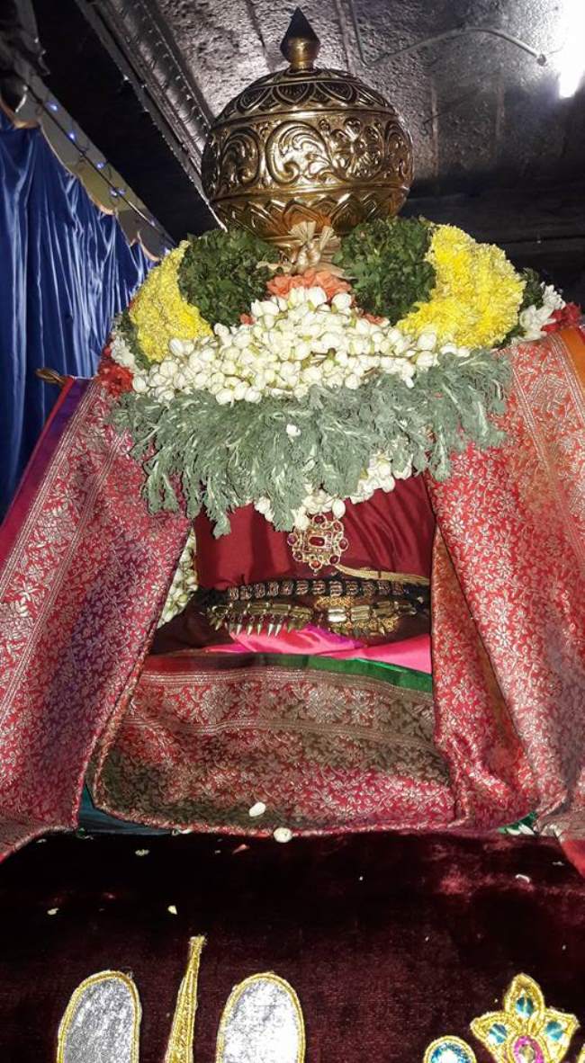 thiruvallur-navarathri-utsavam-day-5-2016007