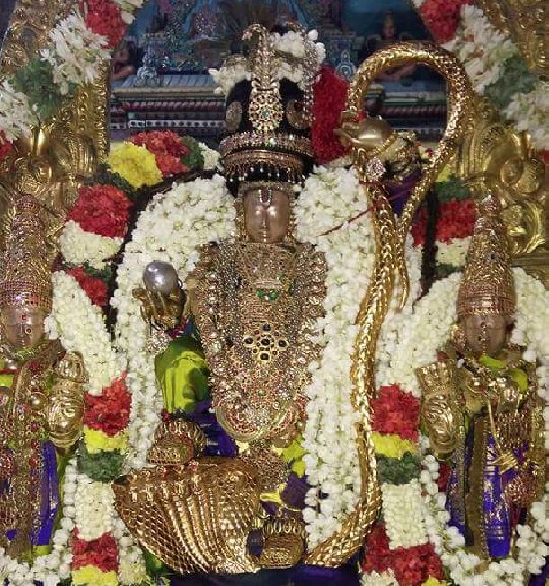 thiruvallur-navarathri-utsavam-day-8-2016