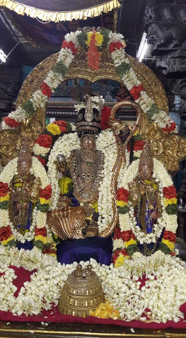 thiruvallur-navarathri-utsavam-day-8-2016003