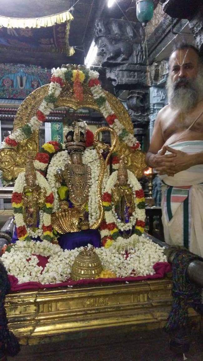 thiruvallur-navarathri-utsavam-day-8-2016007
