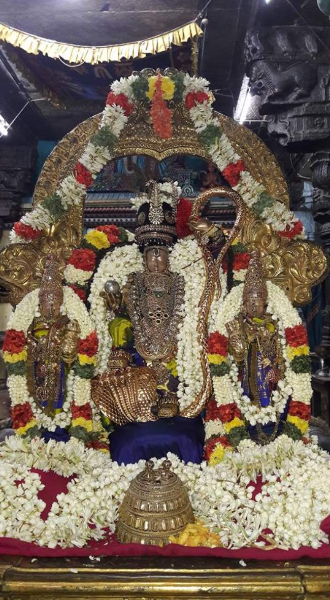 thiruvallur-navarathri-utsavam-day-8-2016018
