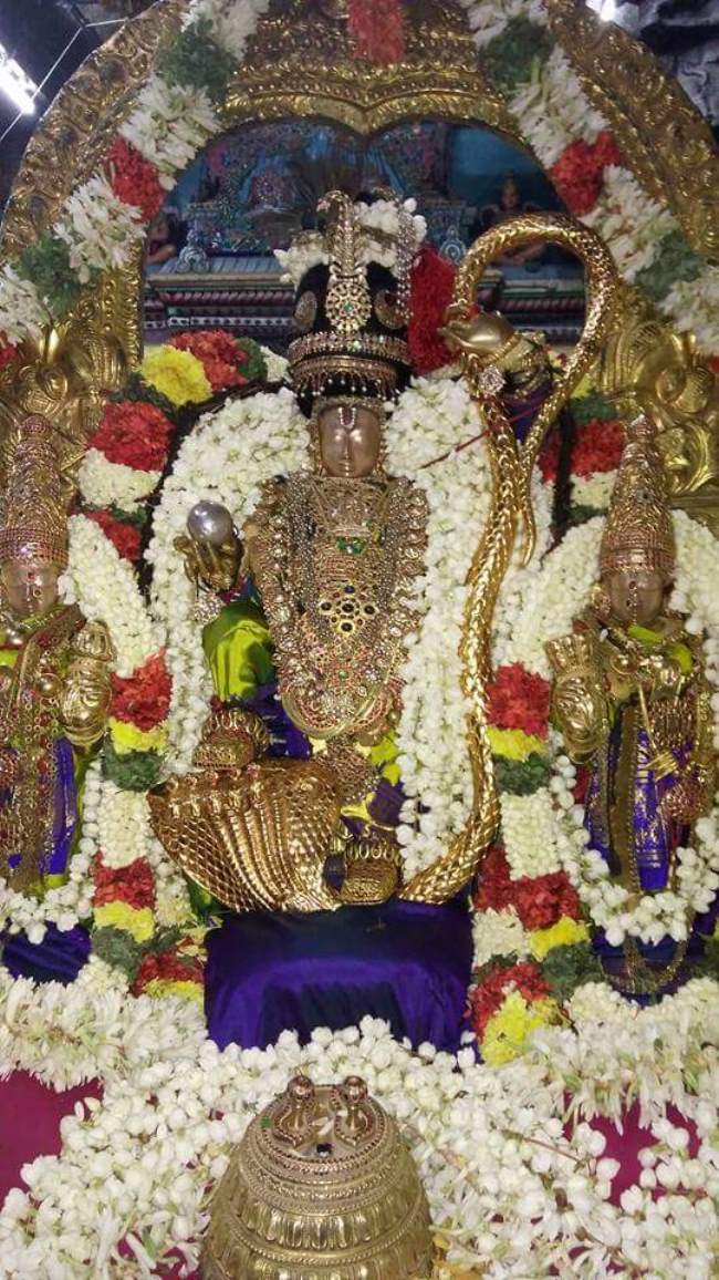 thiruvallur-navarathri-utsavam-day-8-2016024