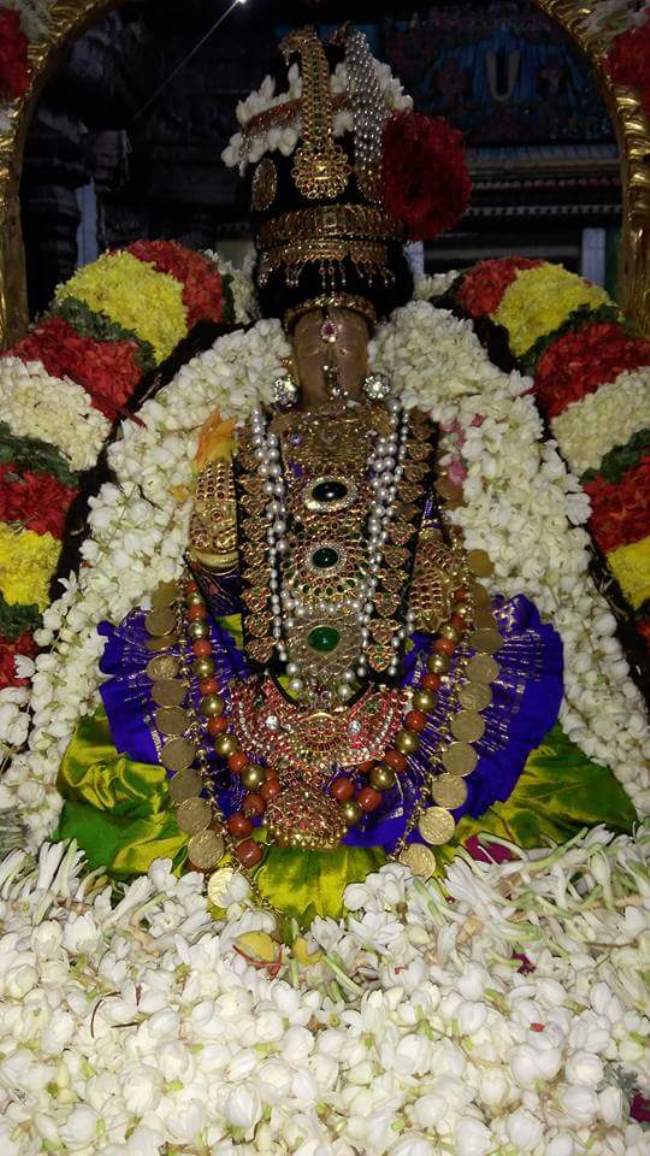 thiruvallur-navarathri-utsavam-day-8-2016025