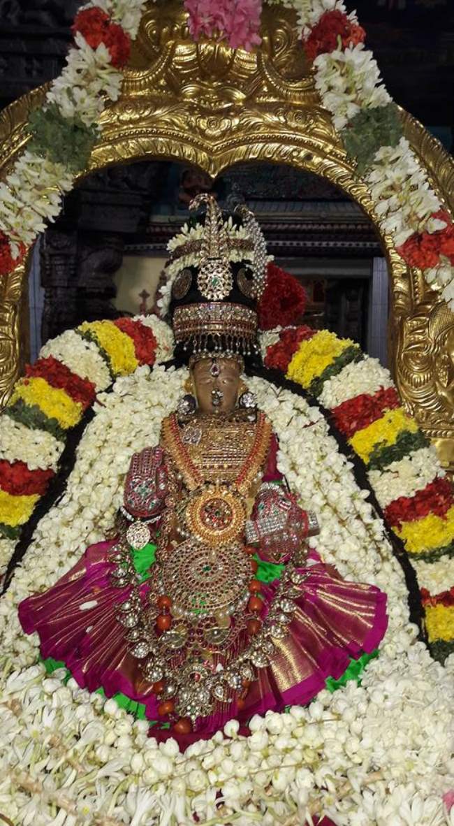 thiruvallur-navarathri-utsavam-day-9-2016003