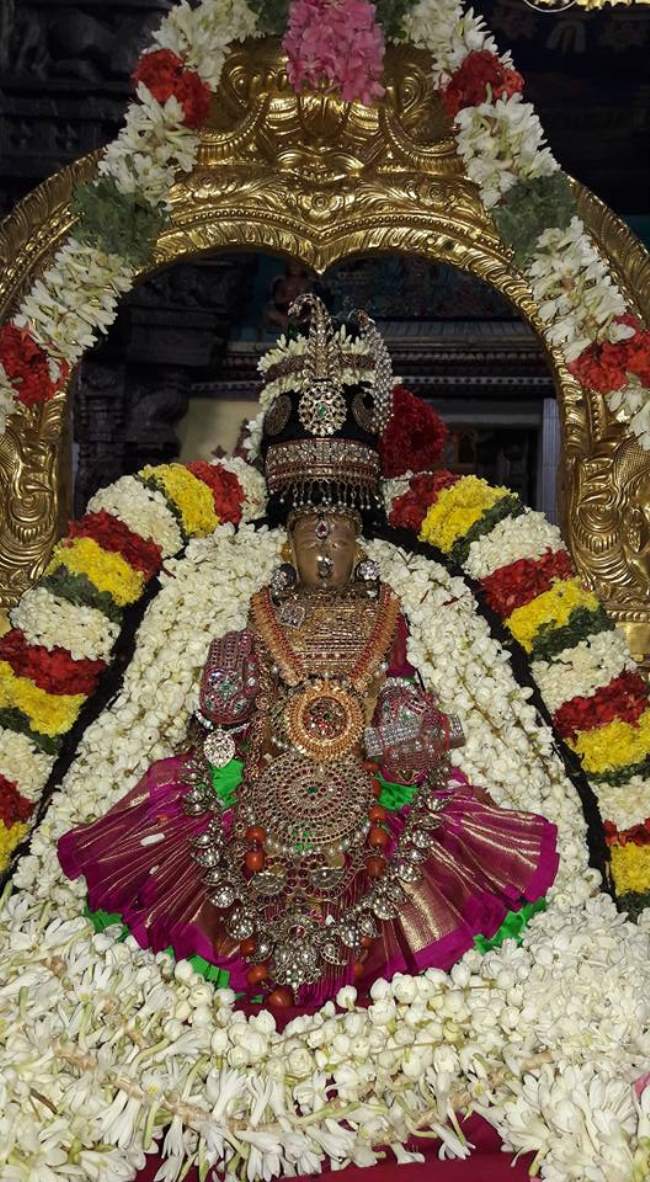thiruvallur-navarathri-utsavam-day-9-2016016
