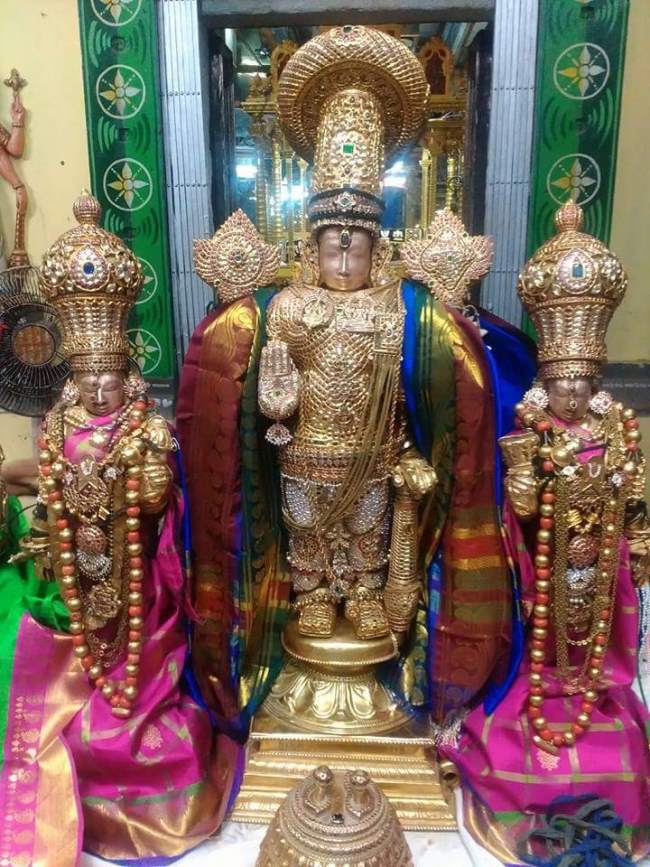 thiruvallur-navarathri-utsavam-day-9-2016020