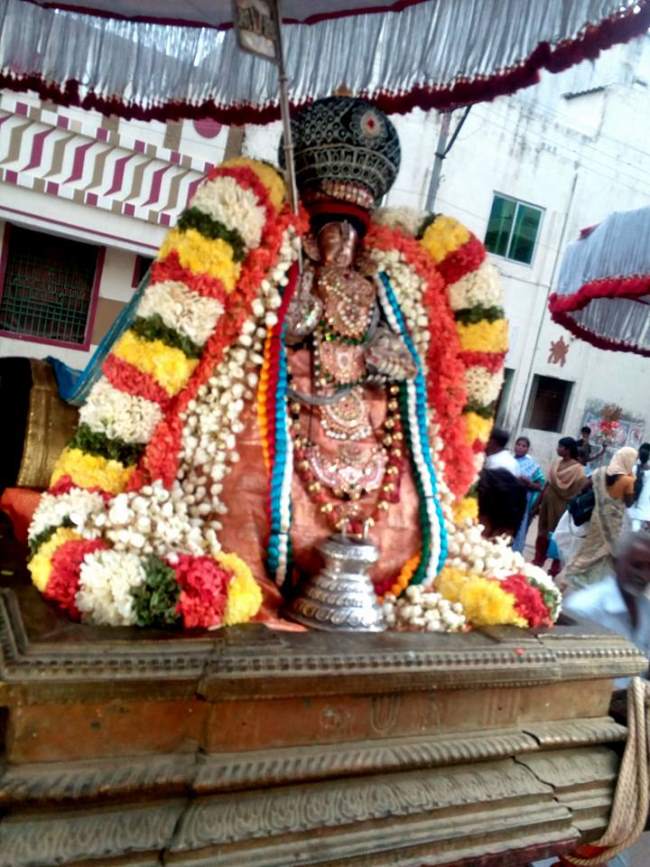 thiruvallur-sri-adhivan-satakopan-thirunakshatra-utsavam-2016002