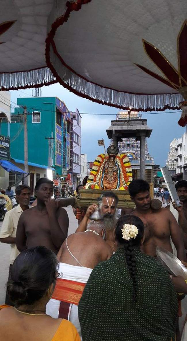 thiruvallur-sri-adhivan-satakopan-thirunakshatra-utsavam-2016009