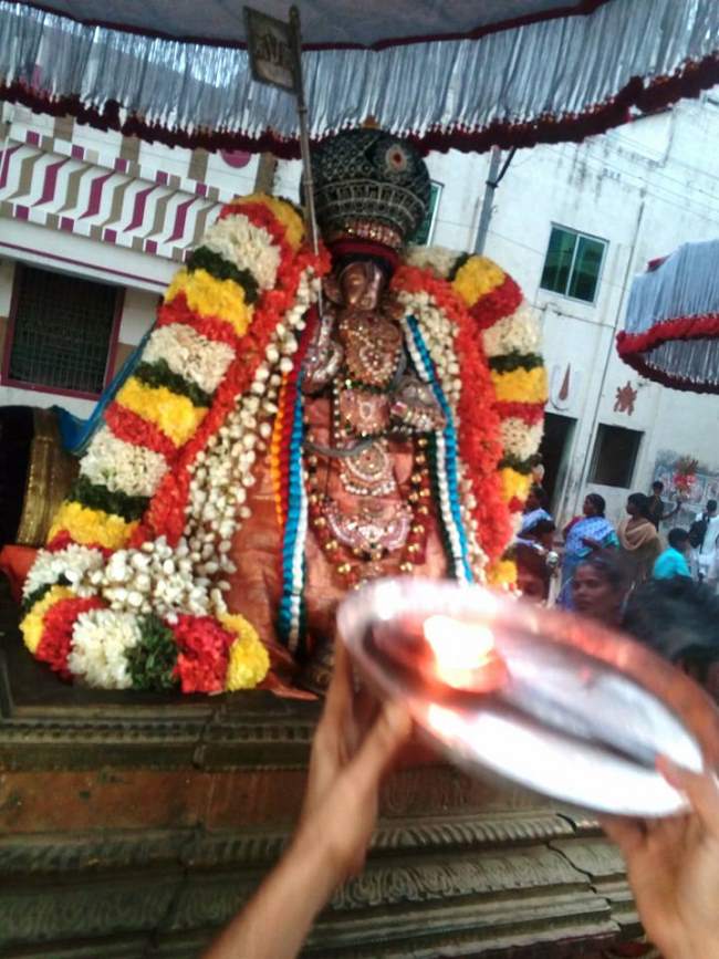 thiruvallur-sri-adhivan-satakopan-thirunakshatra-utsavam-2016010
