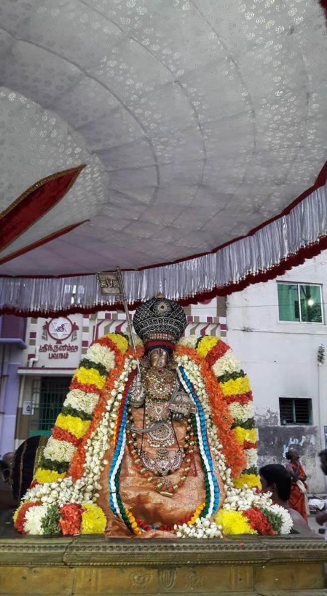 thiruvallur-sri-adhivan-satakopan-thirunakshatra-utsavam-2016012