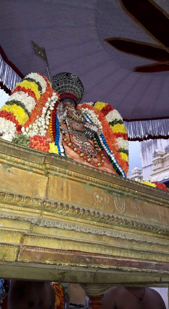 thiruvallur-sri-adhivan-satakopan-thirunakshatra-utsavam-2016018