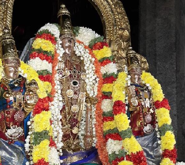 thiruvallur-sri-veeraraghava-perumal-purattasi-ammavasai-purappadu-2016