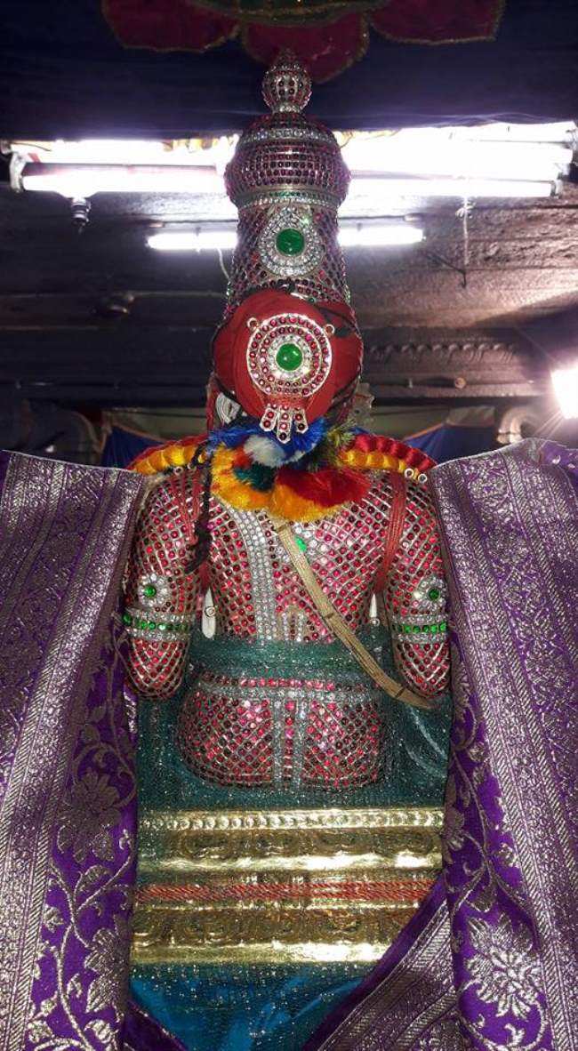thiruvallur-swami-desikan-thirunakshatra-utsavam-2016020