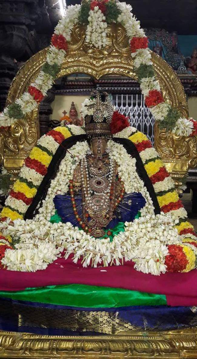 thiruvallur-veera-ragava-perumal-kovil-navarathri-utsavam-day-1011
