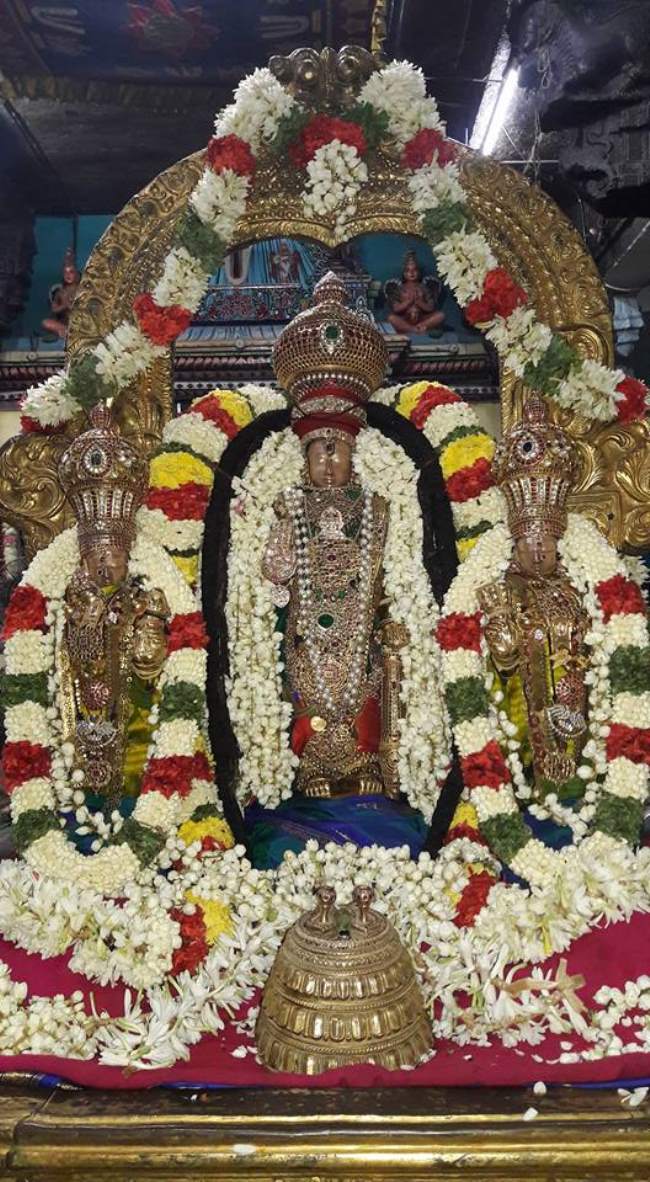 thiruvallur-veera-ragava-perumal-kovil-navarathri-utsavam-day-1013