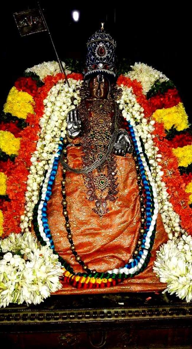 thiruvallur-veera-ragava-perumal-kovil-navarathri-utsavam-day-1015