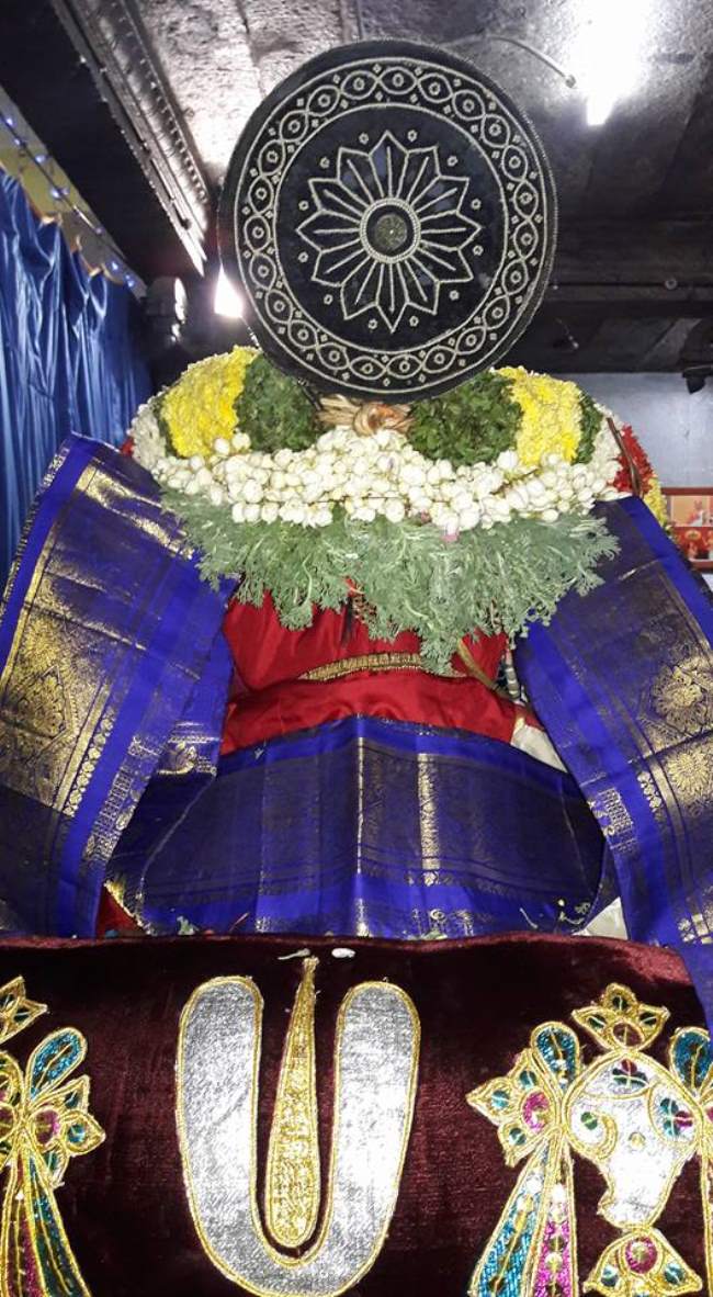 thiruvallur-veera-ragava-perumal-kovil-navarathri-utsavam-day-1020