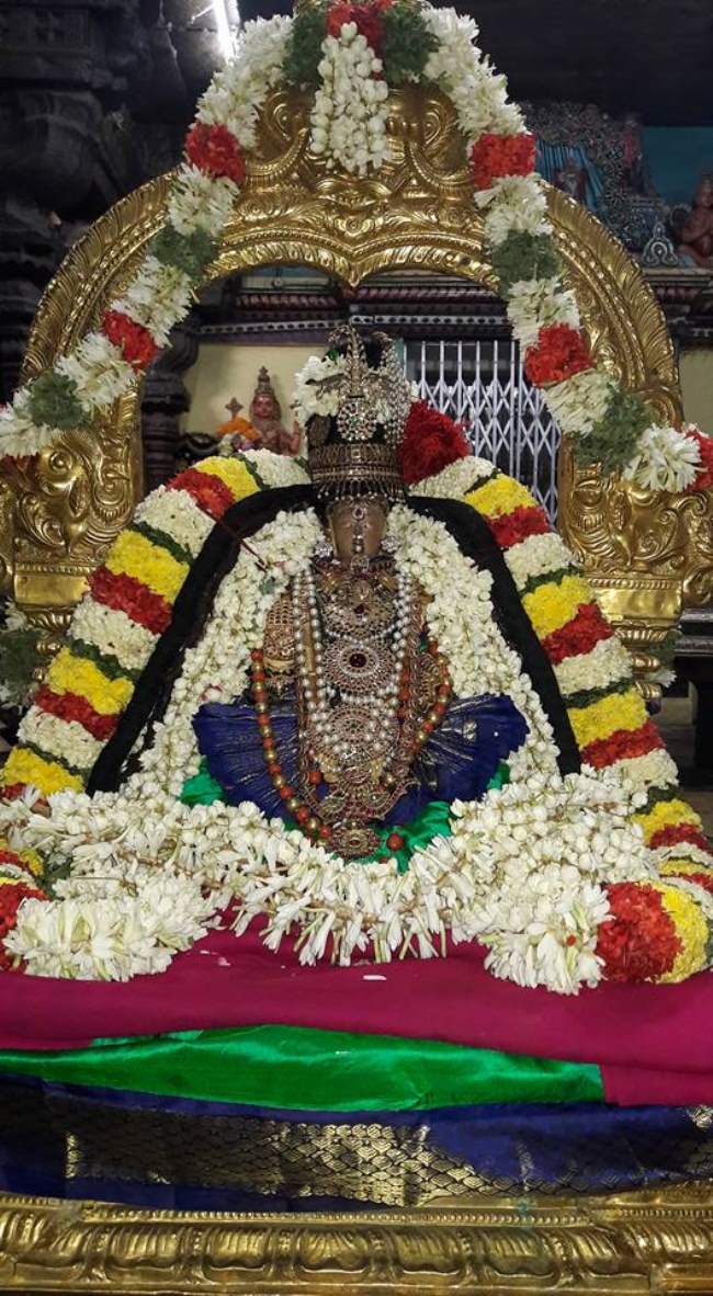 thiruvallur-veera-ragava-perumal-kovil-navarathri-utsavam-day-1021