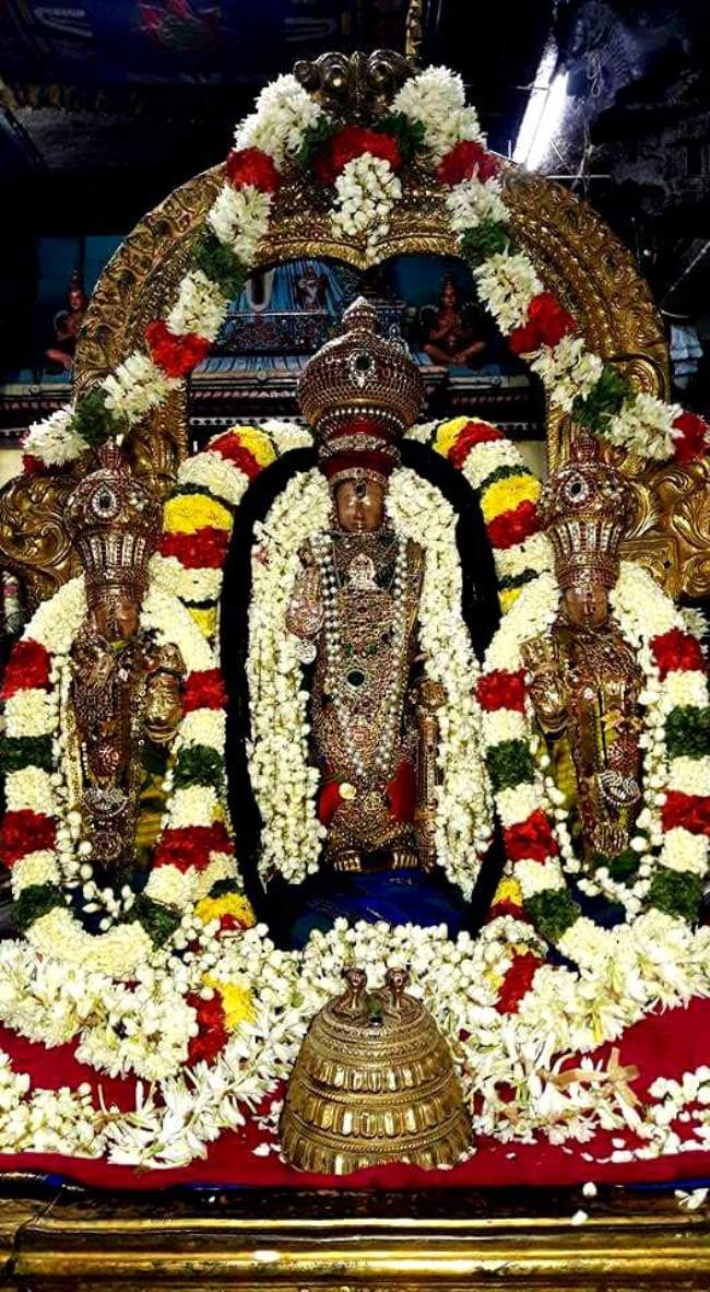 thiruvallur-veera-ragava-perumal-kovil-navarathri-utsavam-day-1022