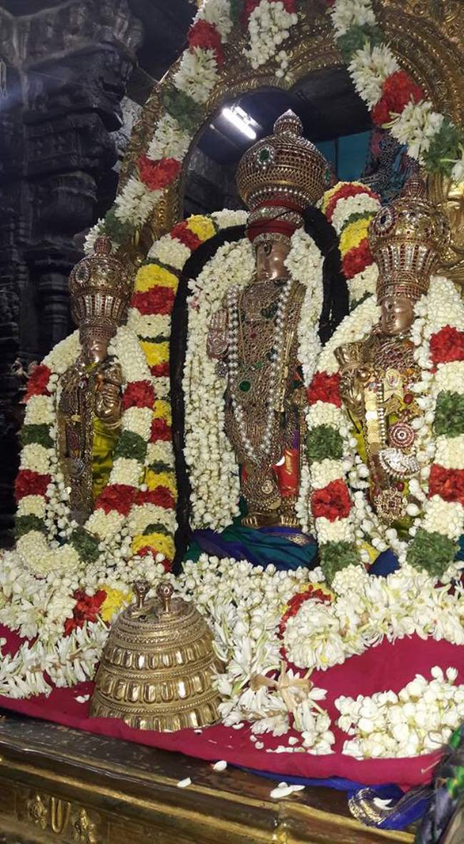 thiruvallur-veera-ragava-perumal-kovil-navarathri-utsavam-day-1025