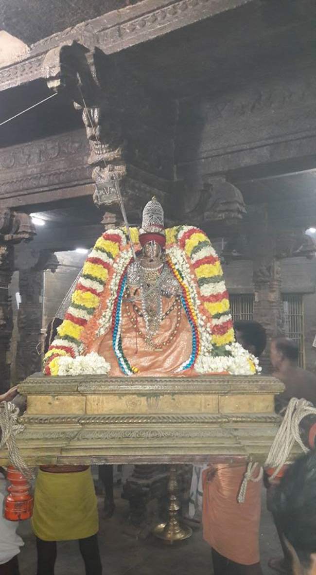 thiruvallur-veeraraghava-perumal-temple-purattasi-ammavasai-purappadu-2016004