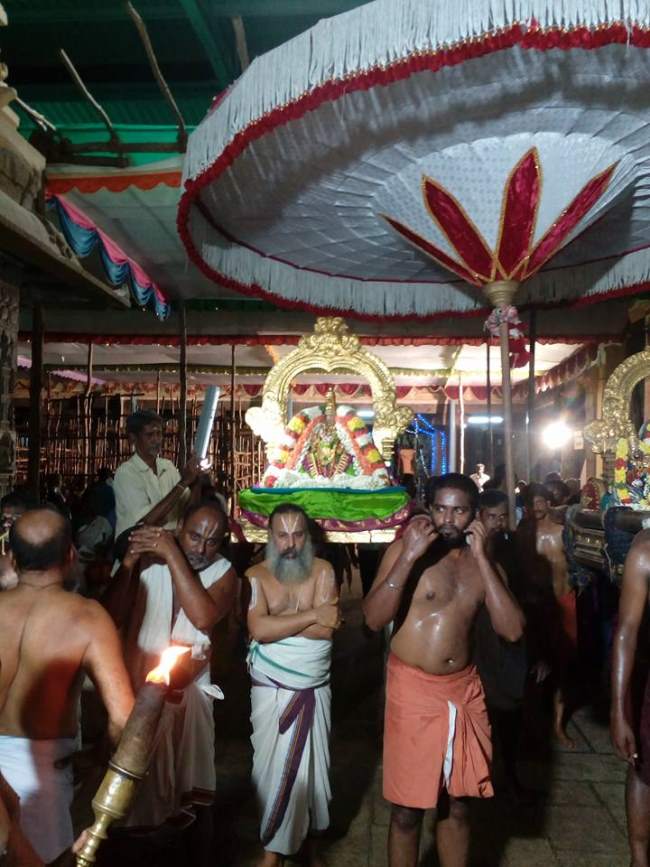 thiruvallur-veeraraghava-perumal-temple-purattasi-ammavasai-purappadu-2016012