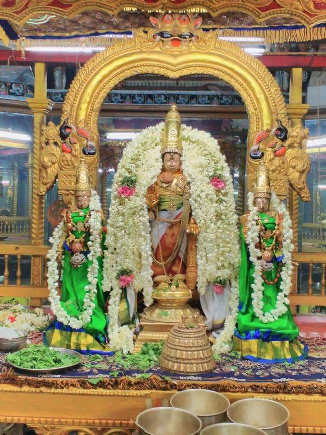thiruvallur-veeraraghava-perumal-temple-purattasi-ammavasai-purappadu-2016020