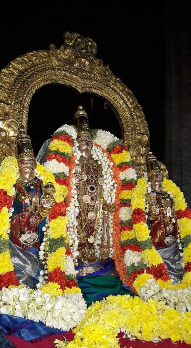thiruvallur-veeraraghava-perumal-temple-purattasi-ammavasai-purappadu-2016024
