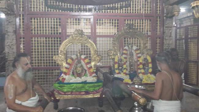 thiruvallur-veeraraghava-perumal-temple-purattasi-ammavasai-purappadu-2016025