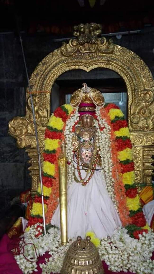 thiruvallur-veeraraghava-perumal-temple-parivettai-utsavam-2016002