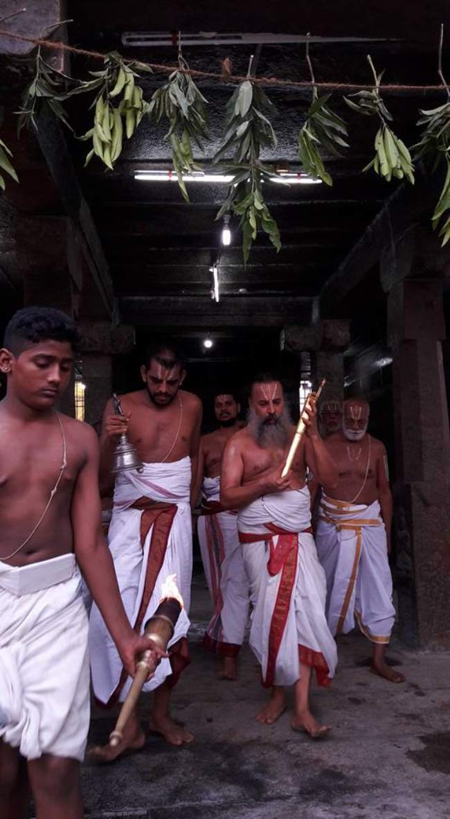 thiruvallur-veeraraghava-perumal-temple-parivettai-utsavam-2016015