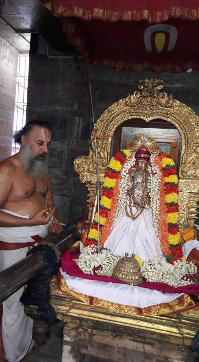 thiruvallur-veeraraghava-perumal-temple-parivettai-utsavam-2016017