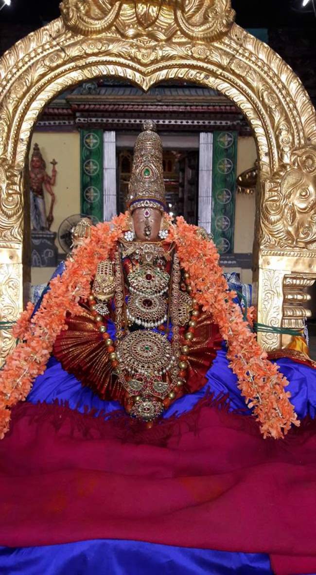 thiruvallur-navarathri-utsavam-day-6005