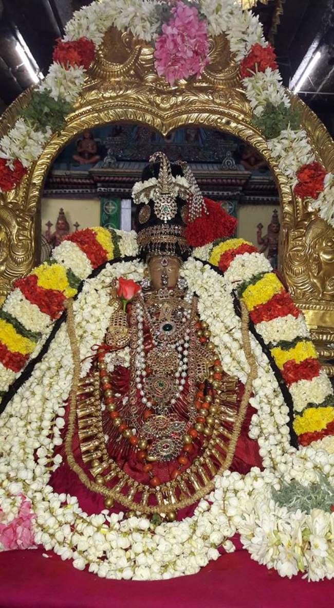 thiruvallur-navarathri-utsavam-day-6021