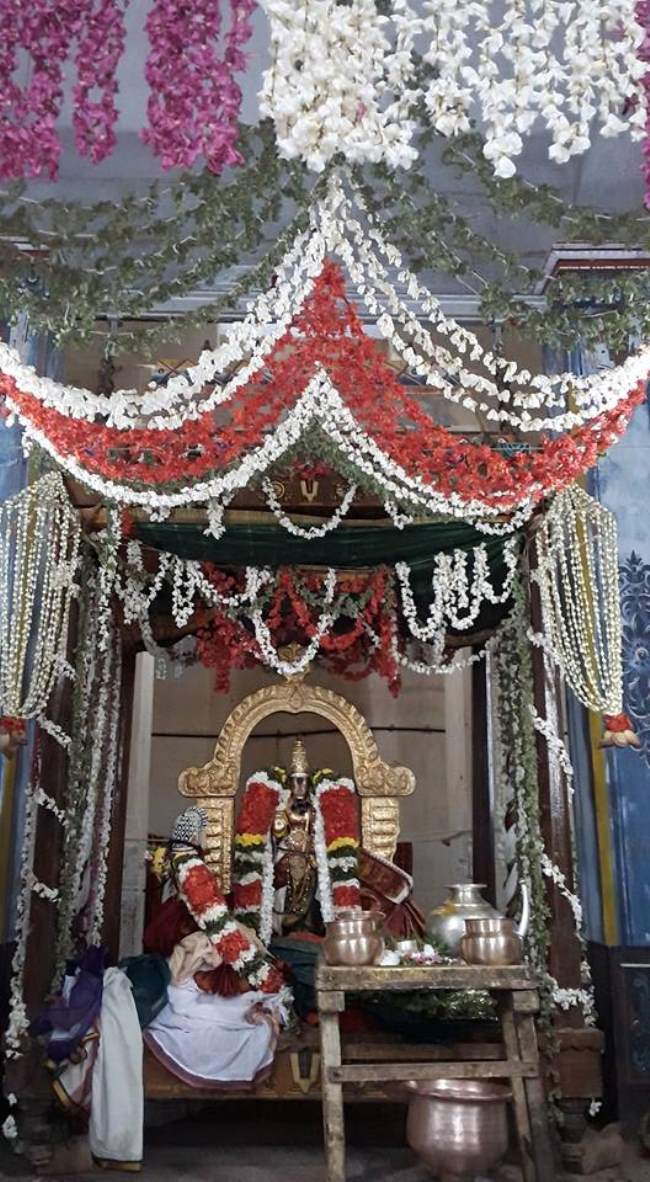 thiruvellarai-sri-pundarikaksha-perumal-temple-unjal-utsavam-day-1-2016003
