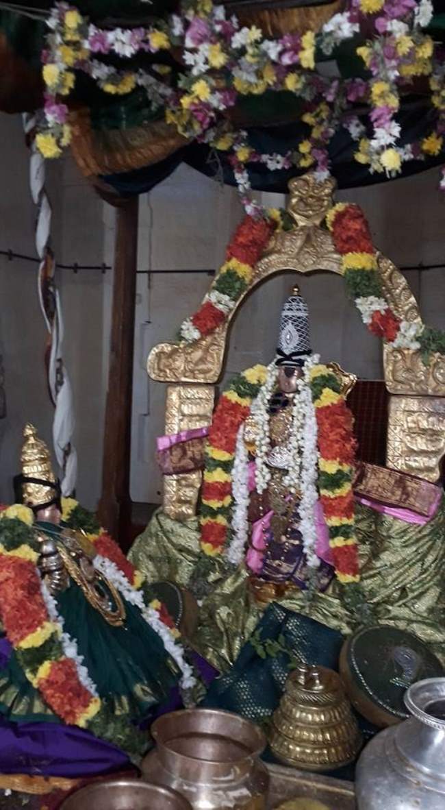 thiruvellarai-sri-pundarikaksha-perumal-temple-unjal-utsavam-day-3-2016004