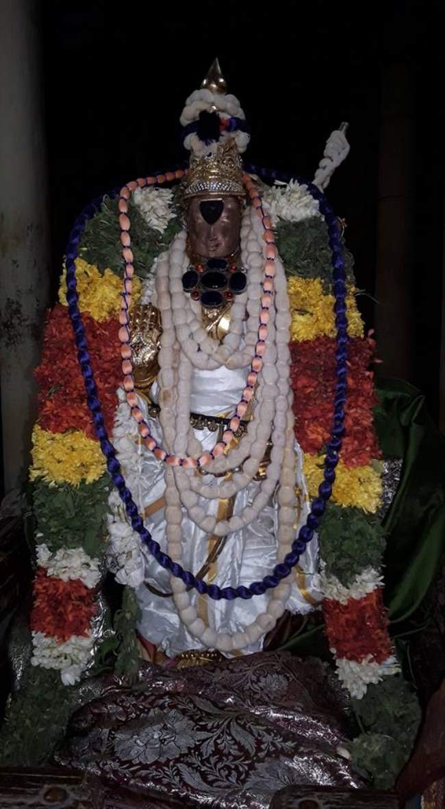 thiruvellarai-sri-pundarikaksha-perumal-temple-pavithrotsavam-day-1-2016001