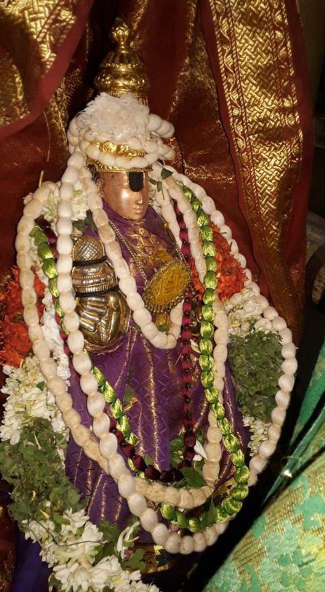 thiruvellarai-sri-pundarikaksha-perumal-temple-pavithrotsavam-day-1-2016002