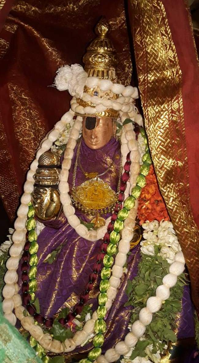 thiruvellarai-sri-pundarikaksha-perumal-temple-pavithrotsavam-day-1-2016003