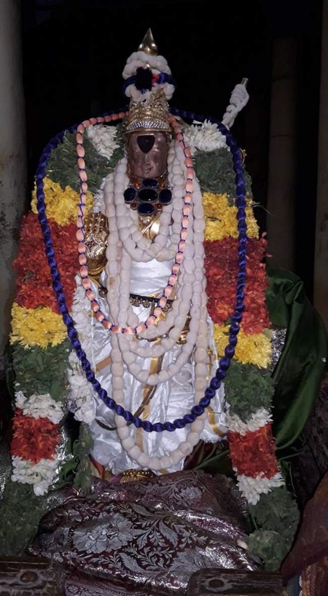 thiruvellarai-sri-pundarikaksha-perumal-temple-pavithrotsavam-day-1-2016004