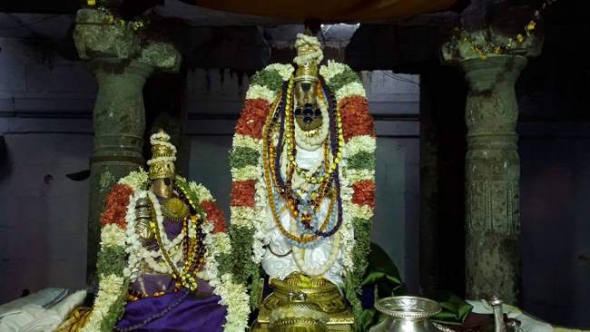 thiruvellarai-sri-pundarikaksha-perumal-temple-pavithrotsavam-day-2-2016001