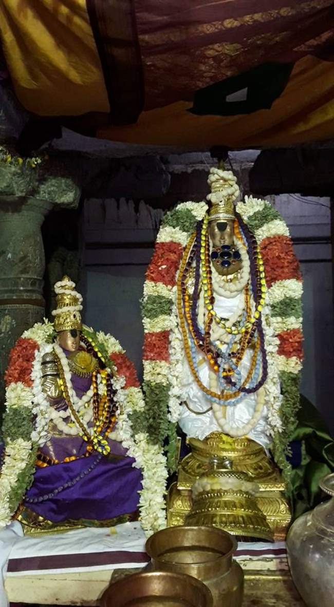 thiruvellarai-sri-pundarikaksha-perumal-temple-pavithrotsavam-day-2-2016002