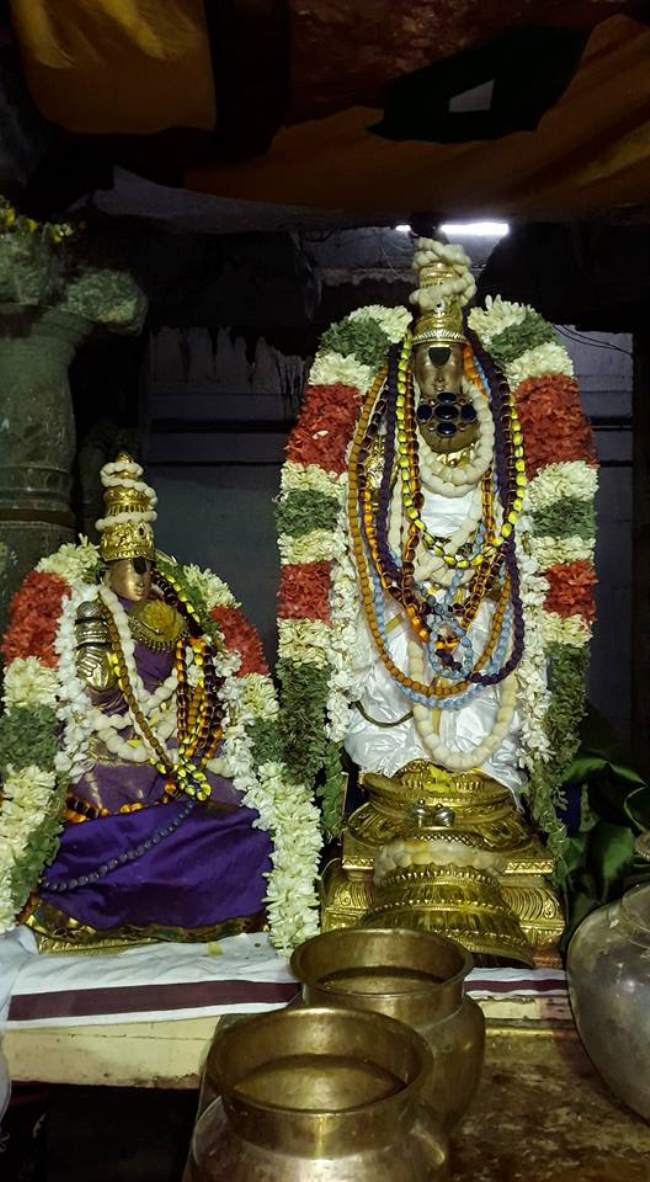 thiruvellarai-sri-pundarikaksha-perumal-temple-pavithrotsavam-day-2-2016003