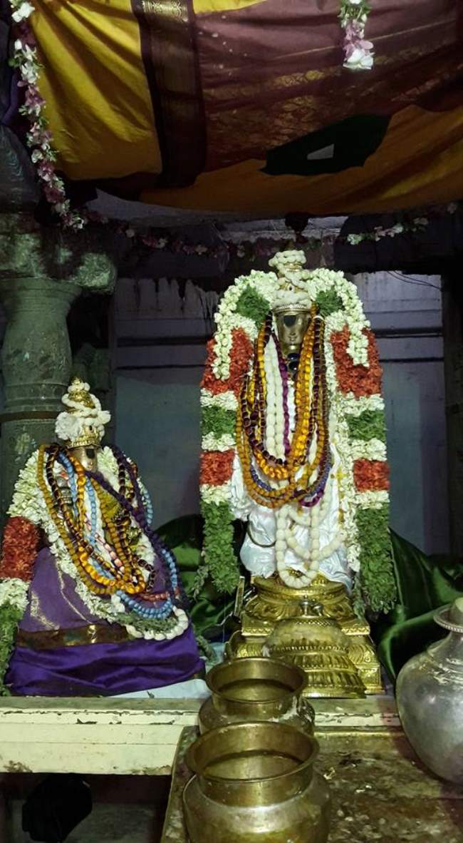 thiruvellarai-sri-pundarikaksha-perumal-temple-pavithrotsavam-day-3-2016002
