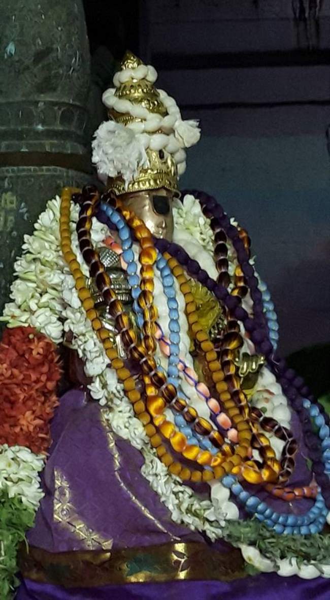 thiruvellarai-sri-pundarikaksha-perumal-temple-pavithrotsavam-day-3-2016004