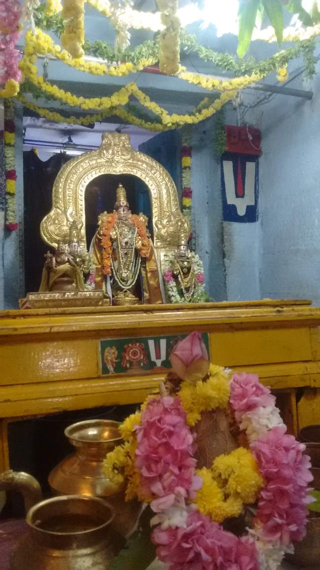 thiruvellukkai-sri-azhagiyasinga-perumal-temple-aippasi-ammavasai-thirumanjanam004