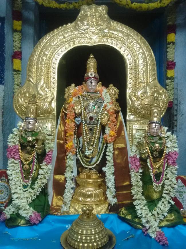 thiruvellukkai-sri-azhagiyasinga-perumal-temple-aippasi-ammavasai-thirumanjanam031