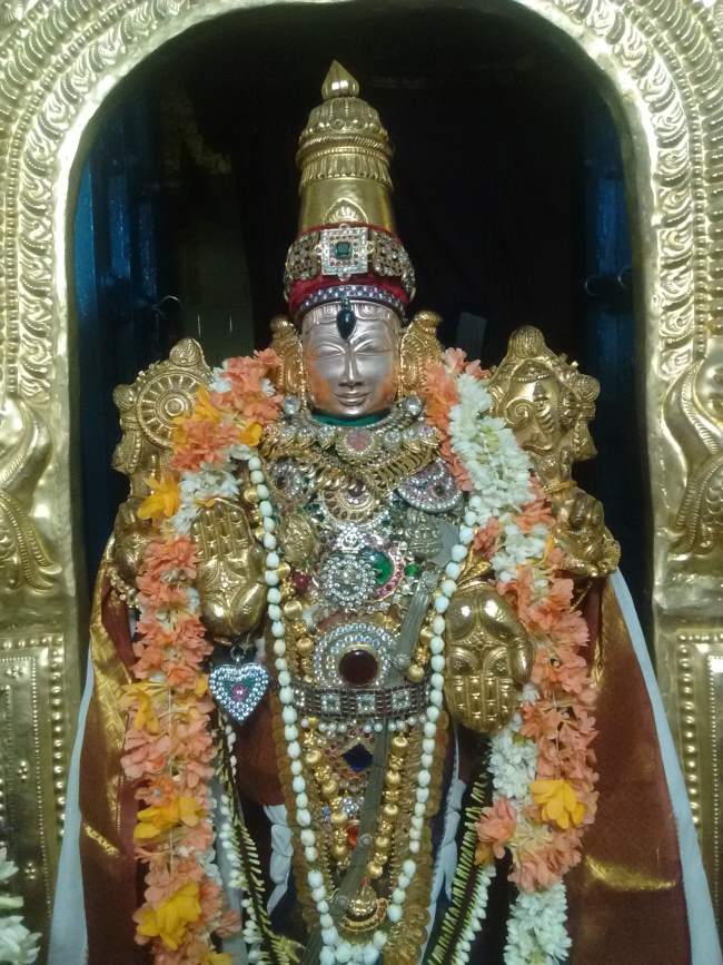 thiruvellukkai-sri-azhagiyasinga-perumal-temple-aippasi-ammavasai-thirumanjanam033