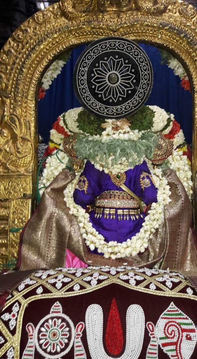 thiruvellur-navarathri-utsavam-day-4-2016001